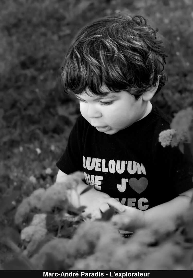 (C) Auteur de la photographie - Respectez le droit d'auteur