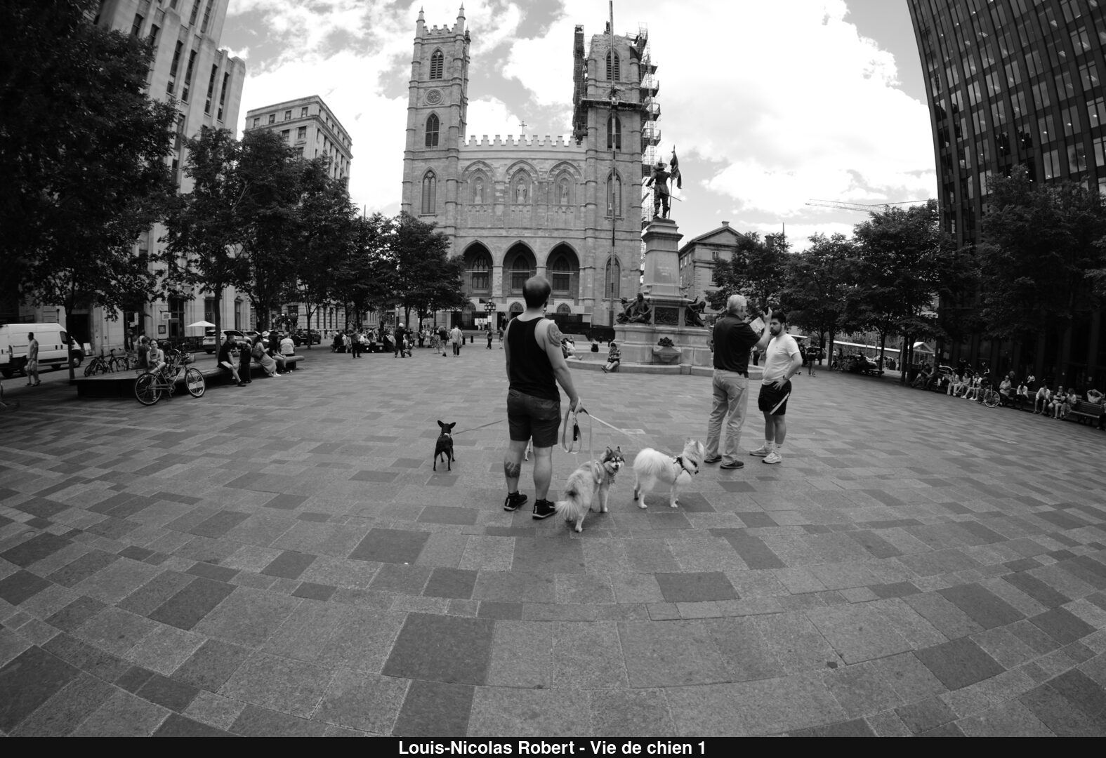 (C) Auteur de la photographie - Respectez le droit d'auteur