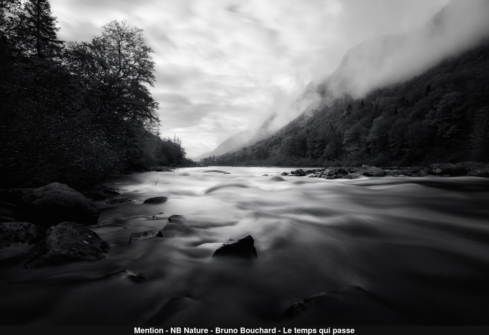 (C) Auteur de la photographie - Respectez le droit d'auteur