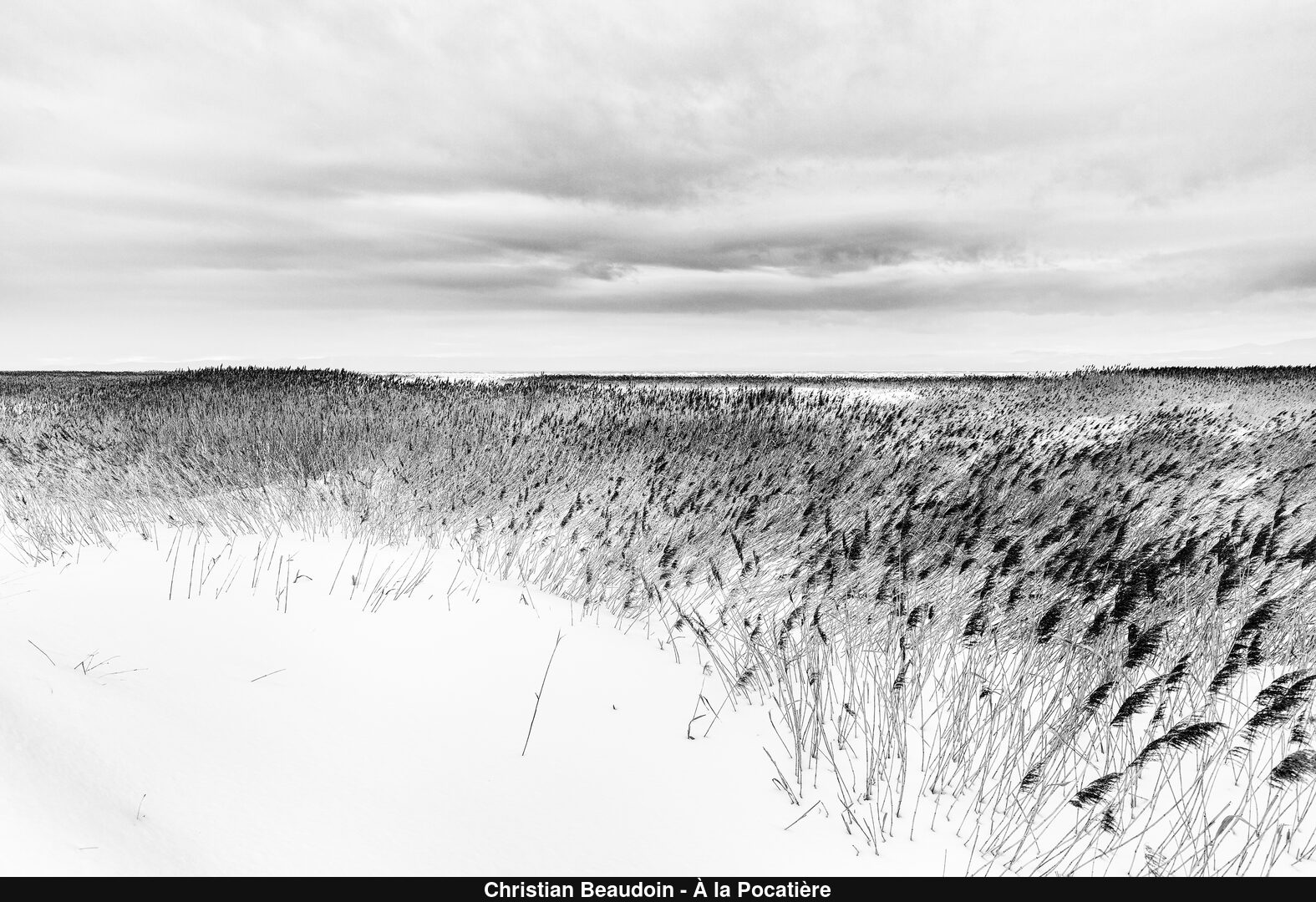 (C) Auteur de la photographie - Respectez le droit d'auteur