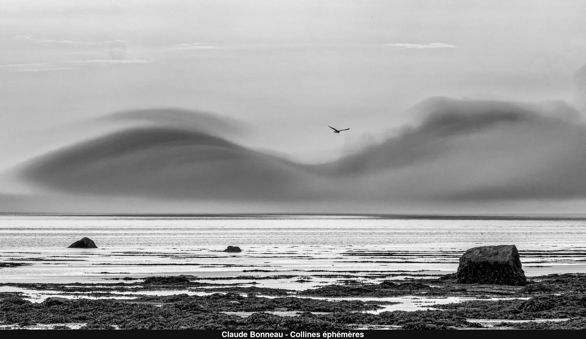 (C) Auteur de la photographie - Respectez le droit d'auteur