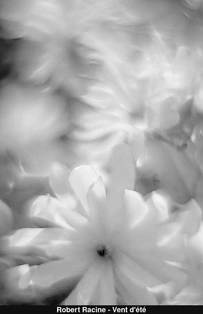 (C) Auteur de la photographie - Respectez le droit d'auteur