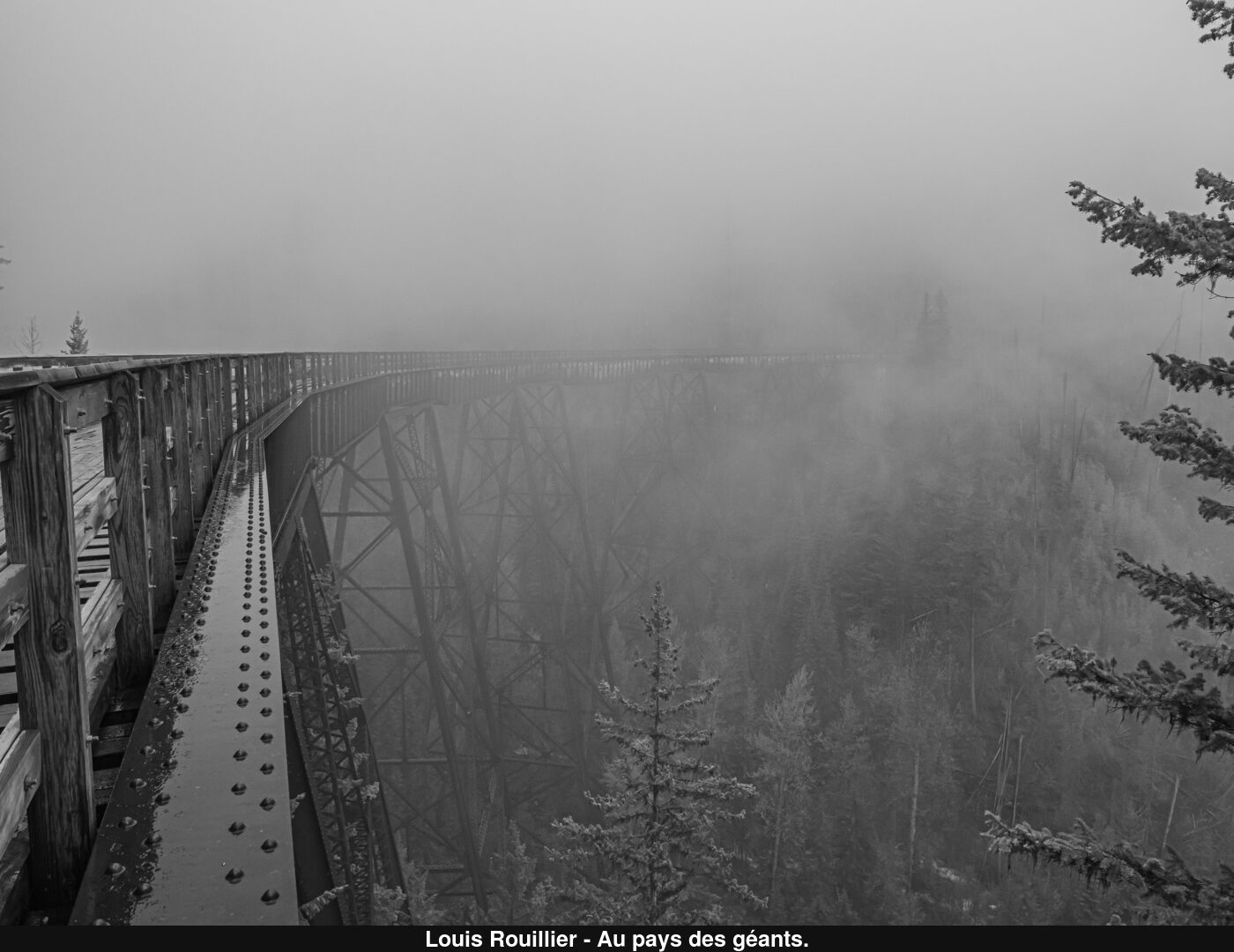 (C) Auteur de la photographie - Respectez le droit d'auteur