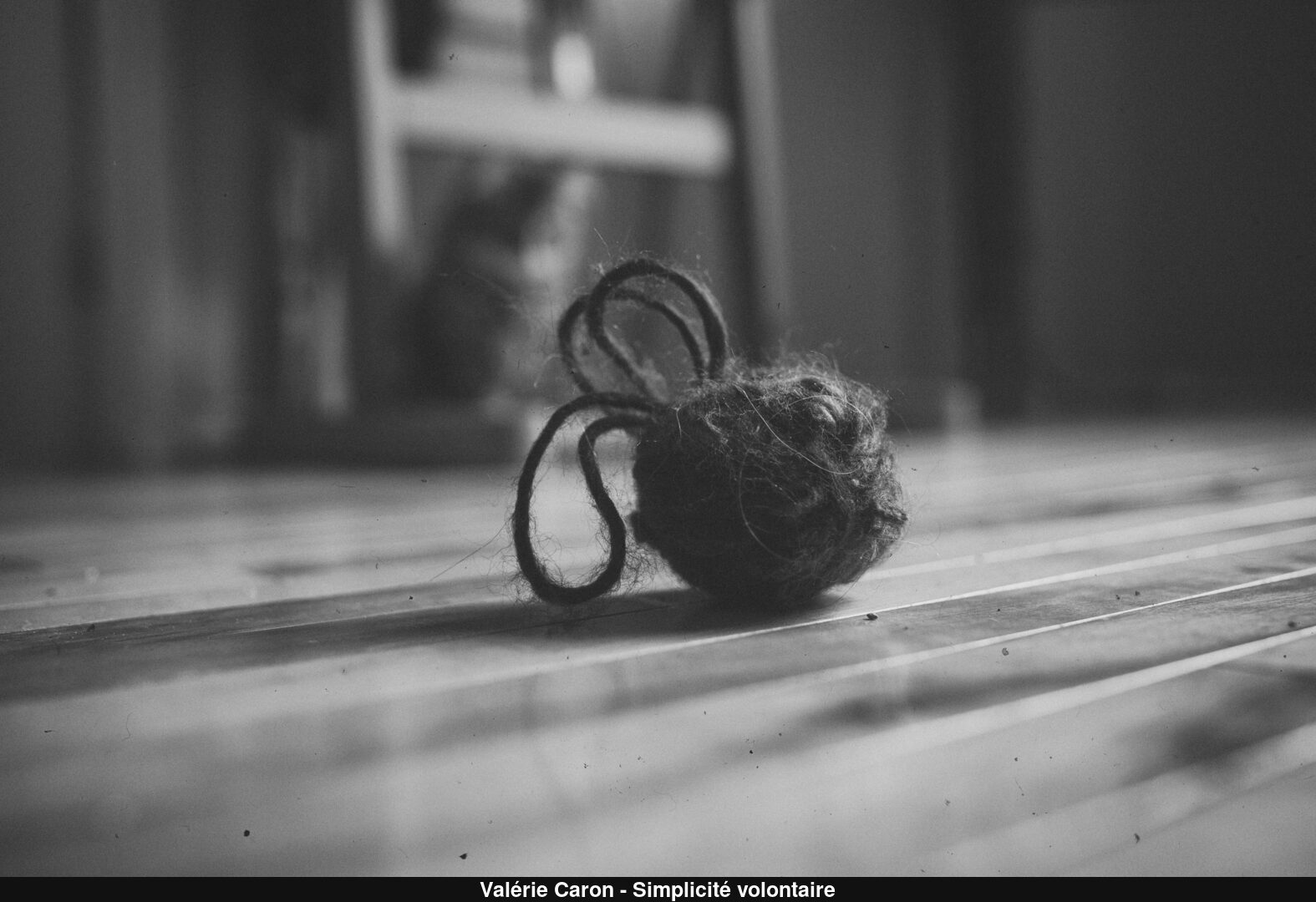 (C) Auteur de la photographie - Respectez le droit d'auteur