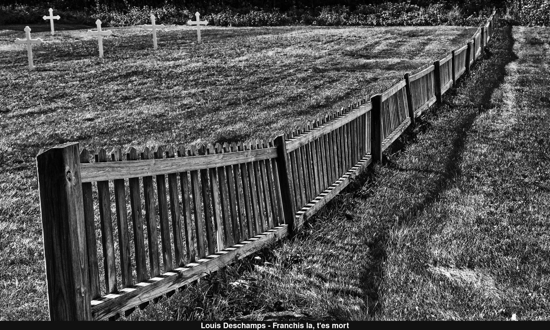 (C) Auteur de la photographie - Respectez le droit d'auteur