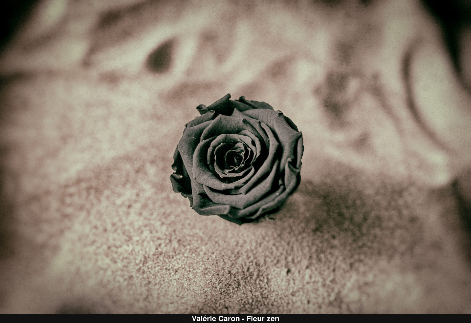 (C) Auteur de la photographie - Respectez le droit d'auteur