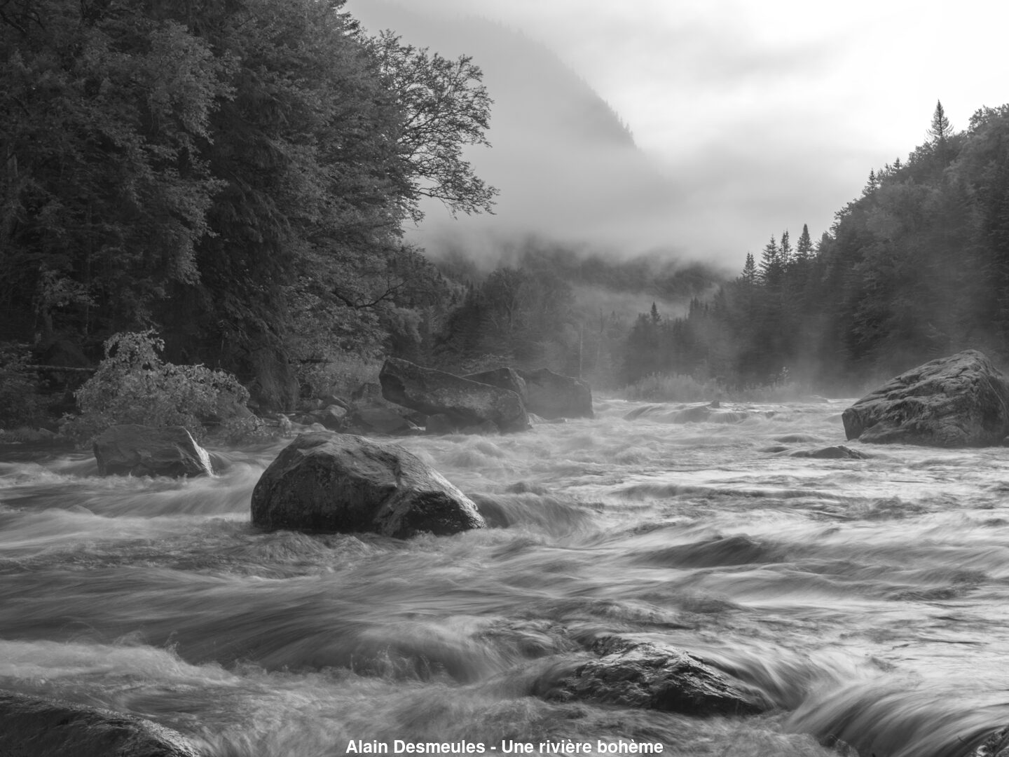 (C) Auteur de la photographie - Respectez le droit d'auteur