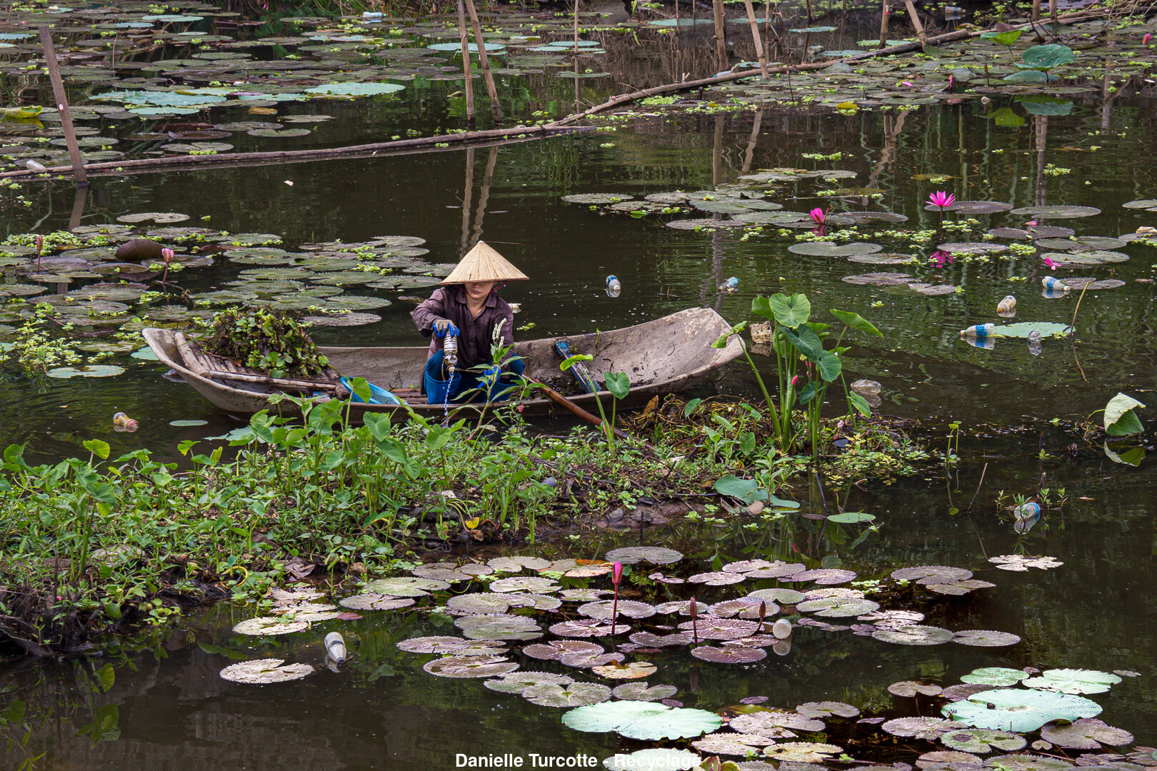 (C) Auteur de la photographie - Respectez le droit d'auteur