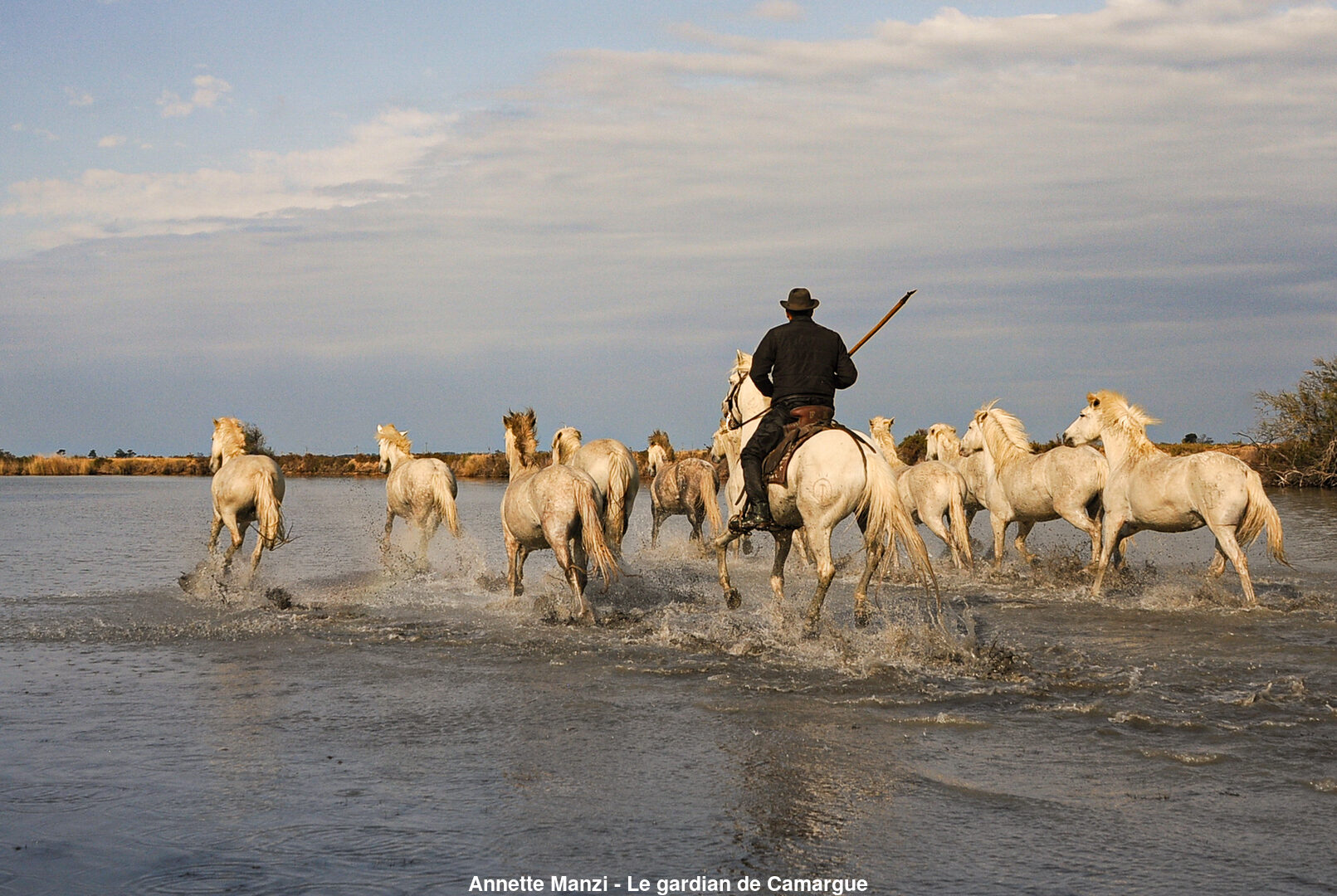 (C) Auteur de la photographie - Respectez le droit d'auteur