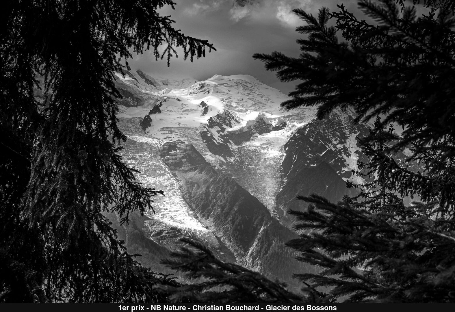 (C) Auteur de la photographie - Respectez le droit d'auteur
