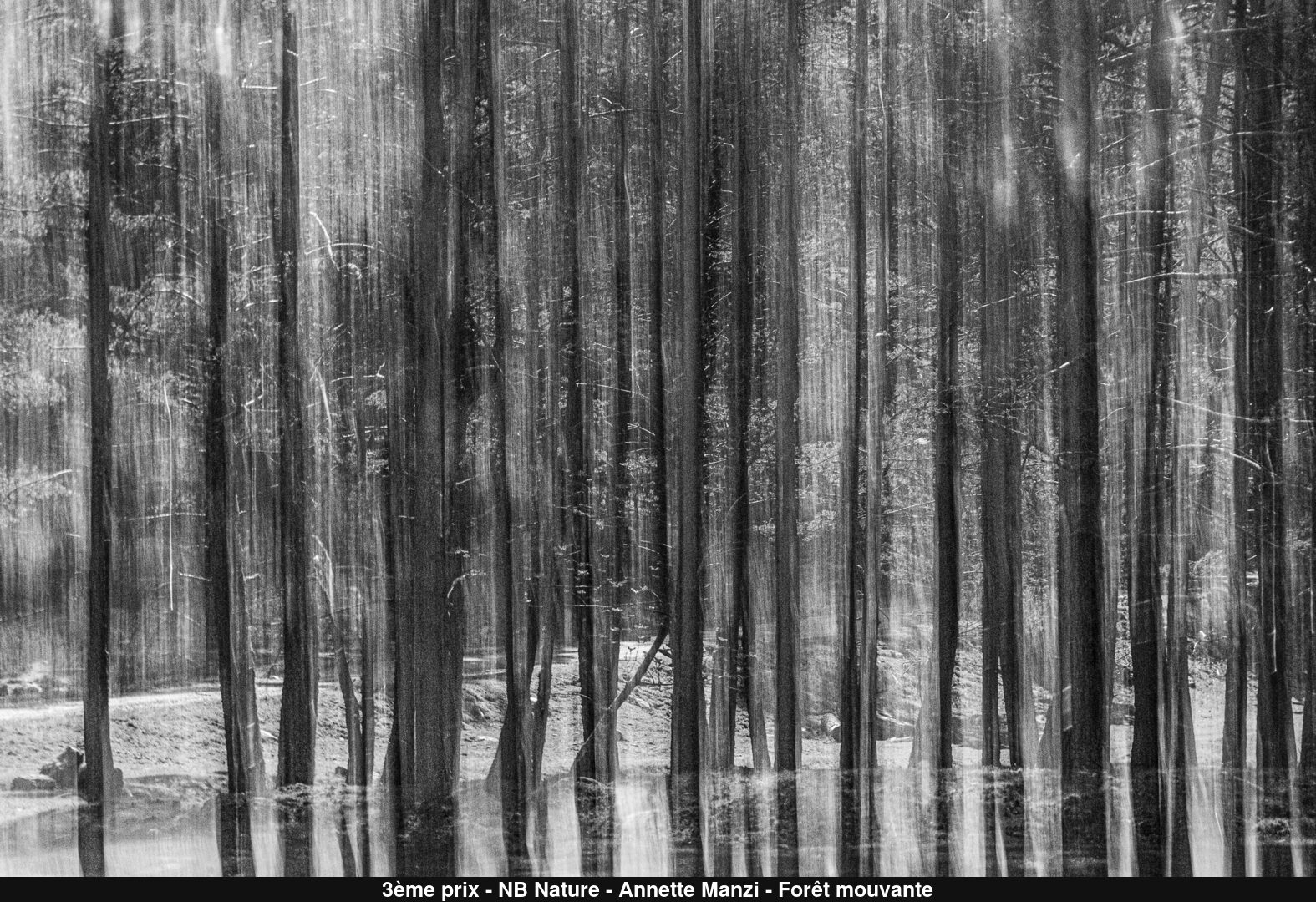(C) Auteur de la photographie - Respectez le droit d'auteur