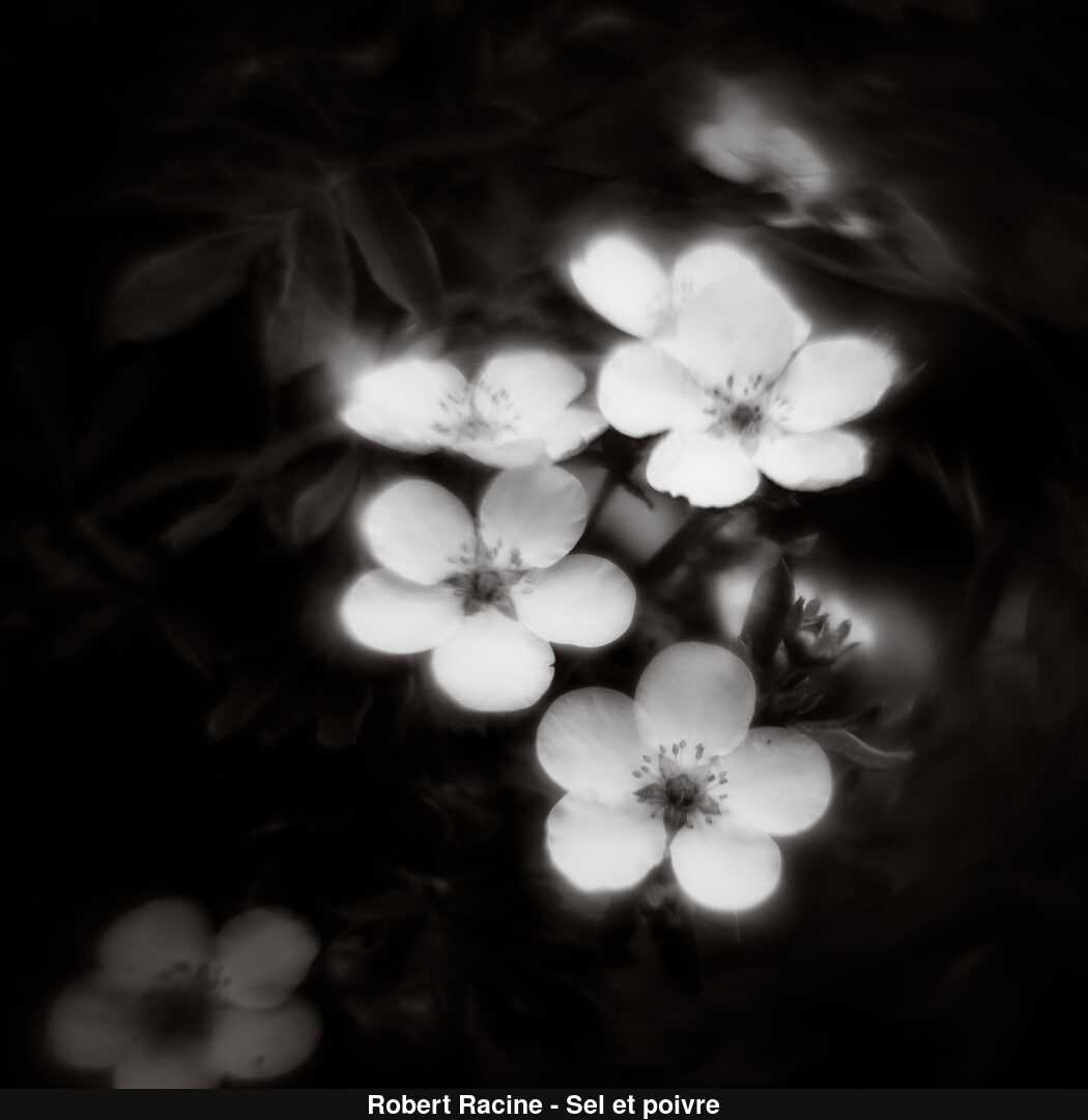 (C) Auteur de la photographie - Respectez le droit d'auteur