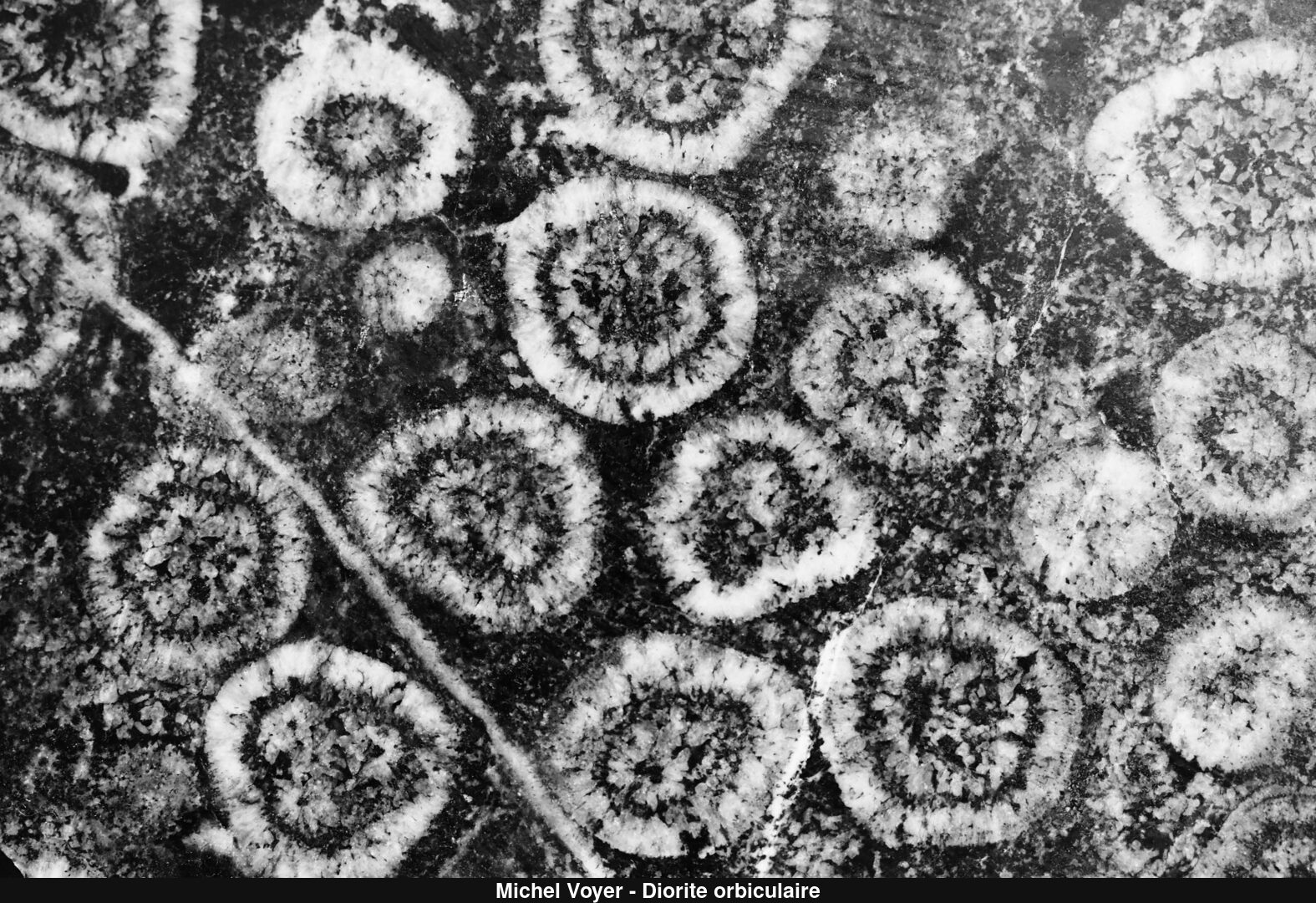 (C) Auteur de la photographie - Respectez le droit d'auteur