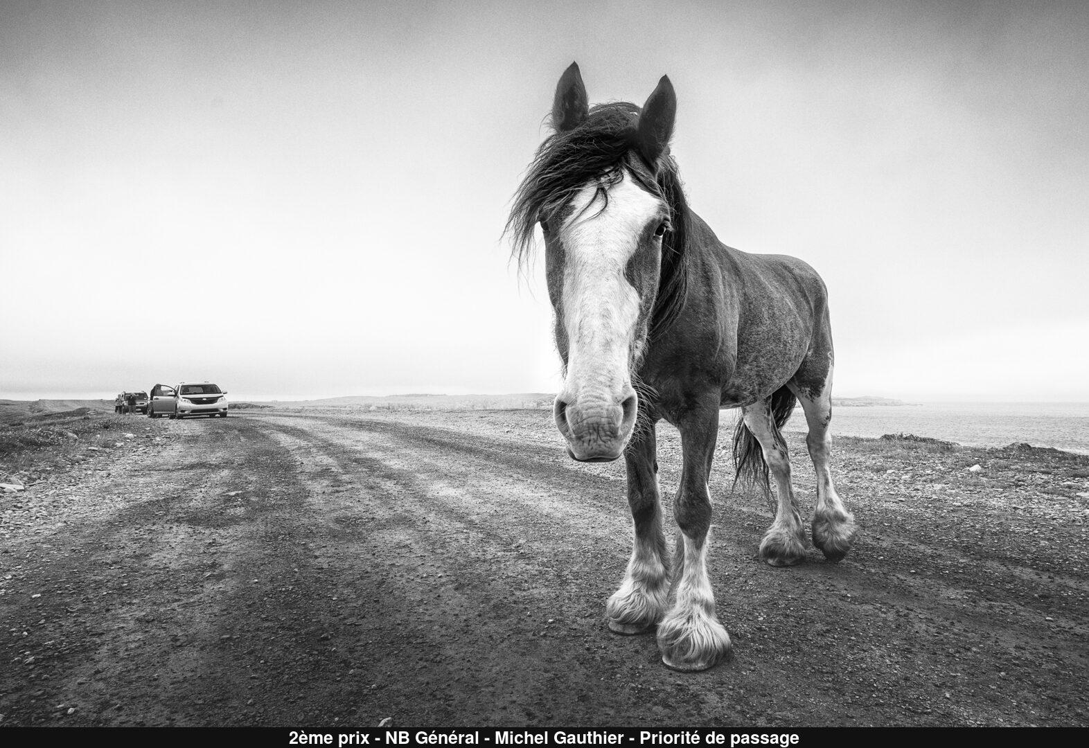 (C) Auteur de la photographie - Respectez le droit d'auteur