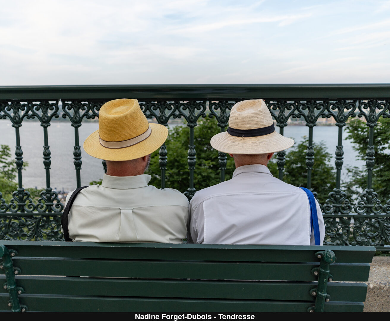 (C) Auteur de la photographie - Respectez le droit d'auteur