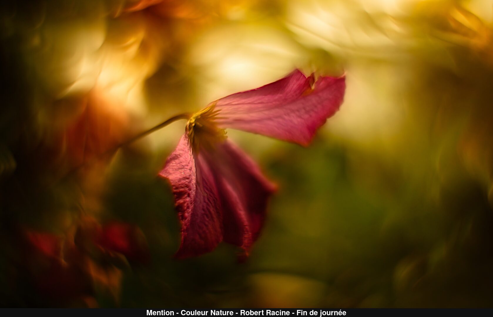 (C) Auteur de la photographie - Respectez le droit d'auteur