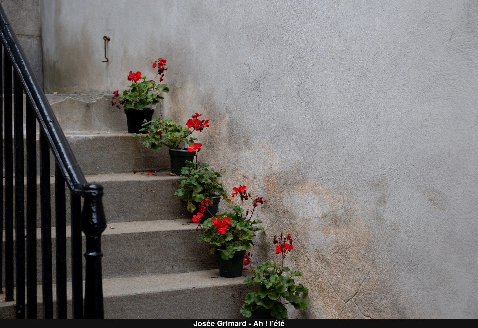 (C) Auteur de la photographie - Respectez le droit d'auteur
