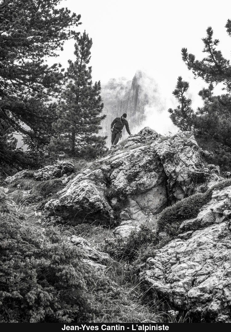 (C) Auteur de la photographie - Respectez le droit d'auteur