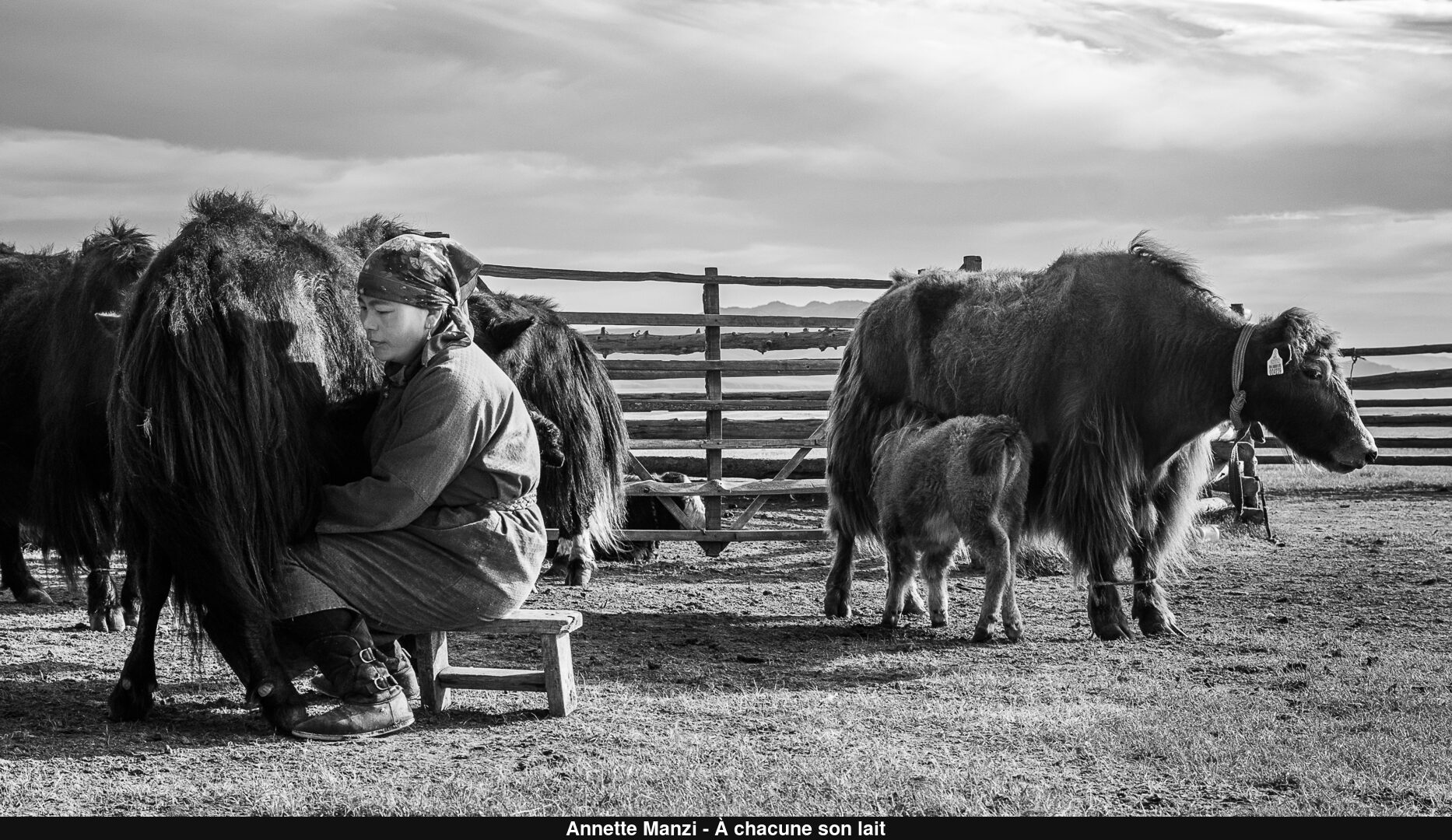 (C) Auteur de la photographie - Respectez le droit d'auteur