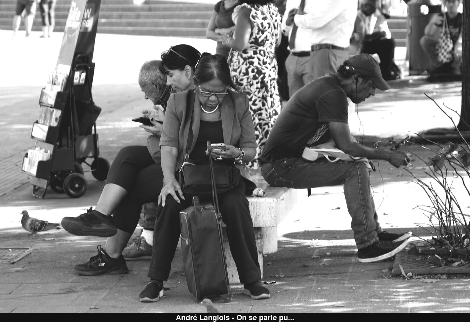 (C) Auteur de la photographie - Respectez le droit d'auteur