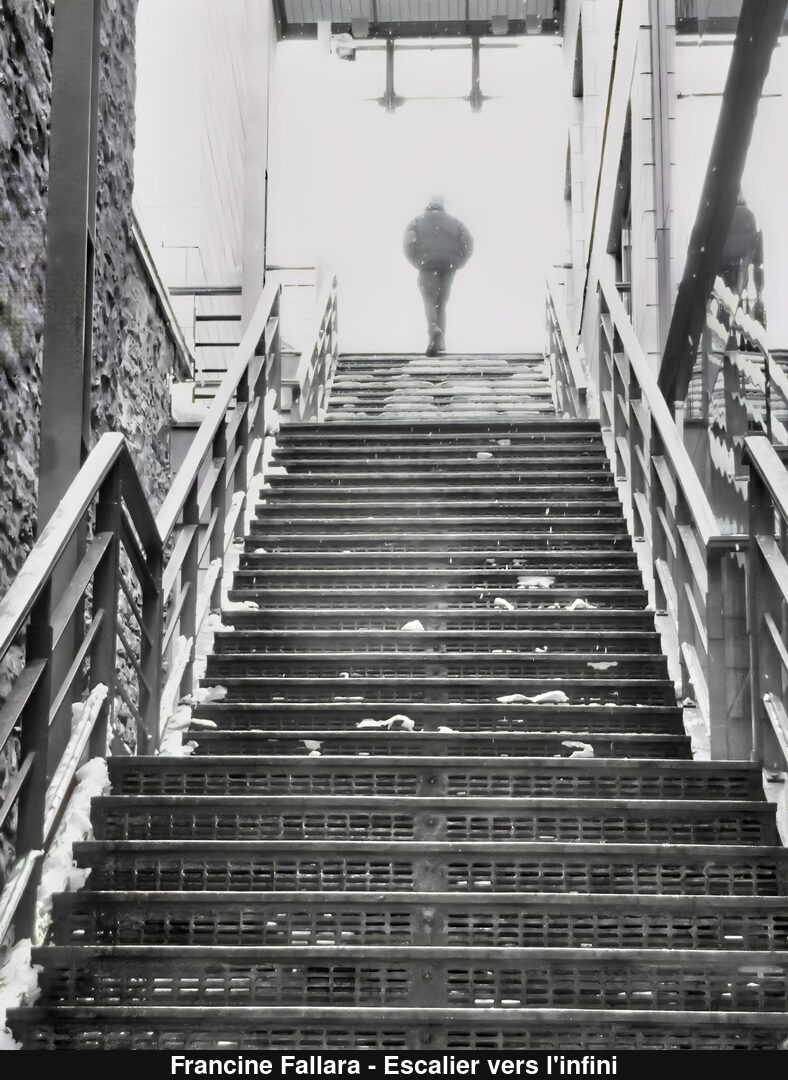 (C) Auteur de la photographie - Respectez le droit d'auteur