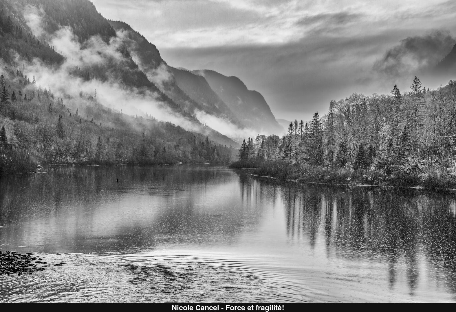 (C) Auteur de la photographie - Respectez le droit d'auteur
