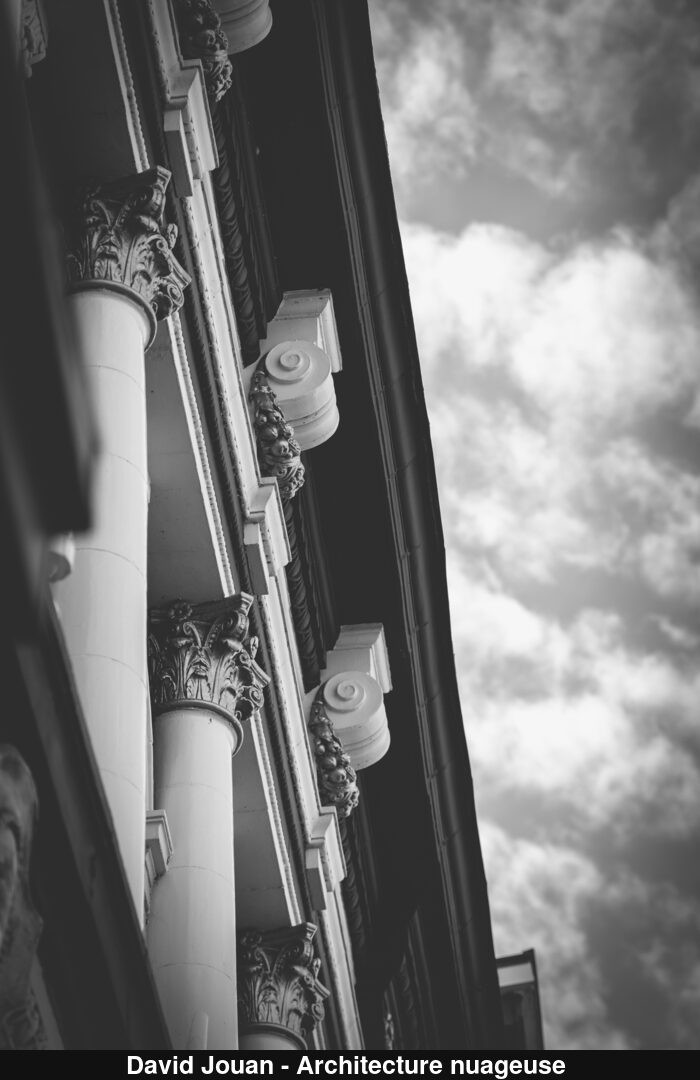 (C) Auteur de la photographie - Respectez le droit d'auteur