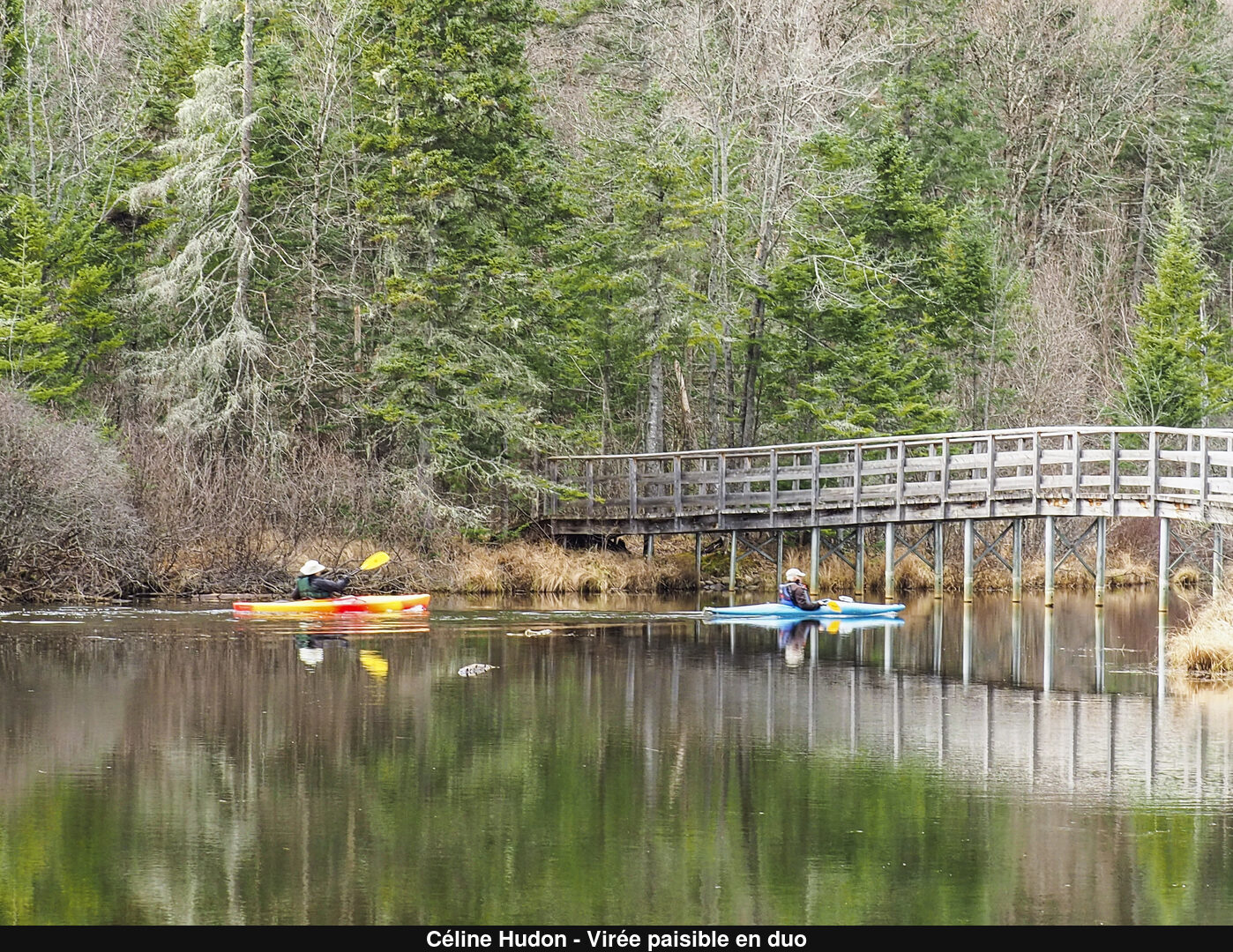 (C) Auteur de la photographie - Respectez le droit d'auteur