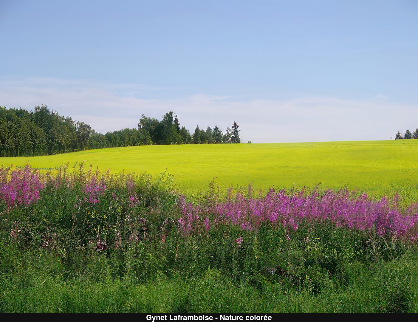(C) Auteur de la photographie - Respectez le droit d'auteur