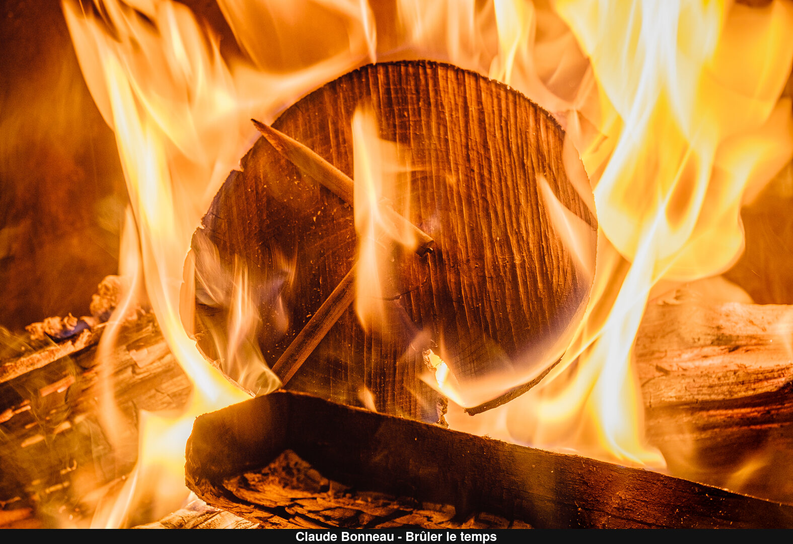 (C) Auteur de la photographie - Respectez le droit d'auteur