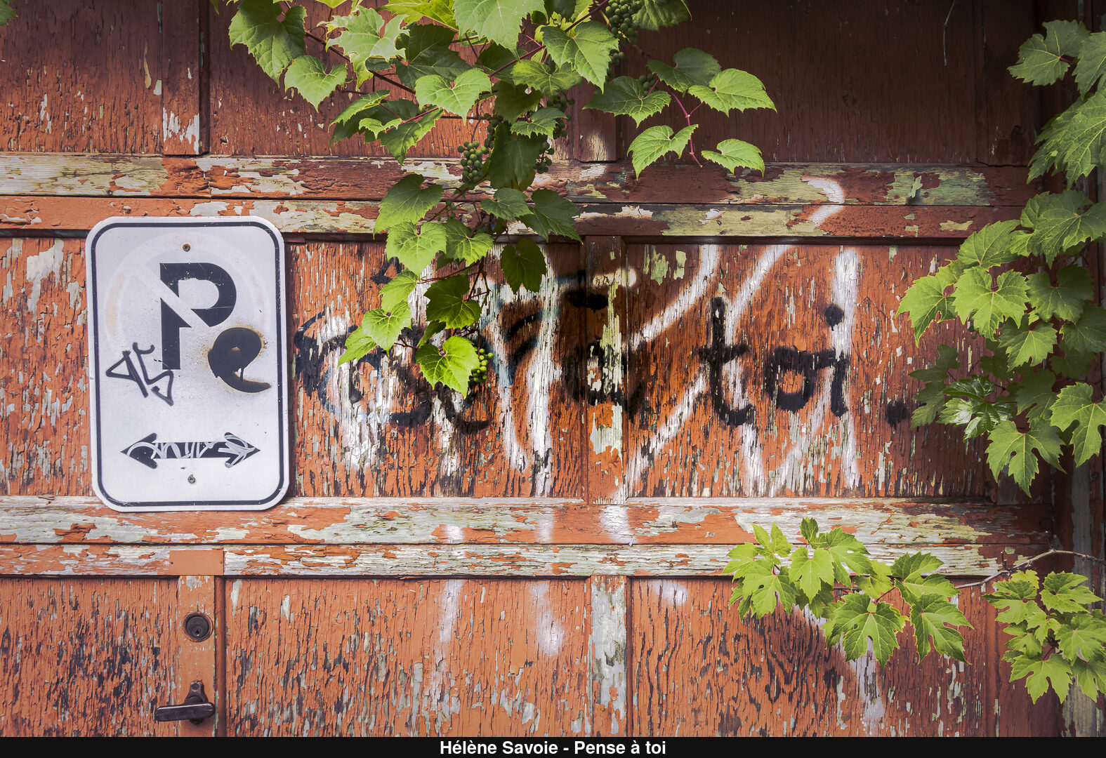 (C) Auteur de la photographie - Respectez le droit d'auteur