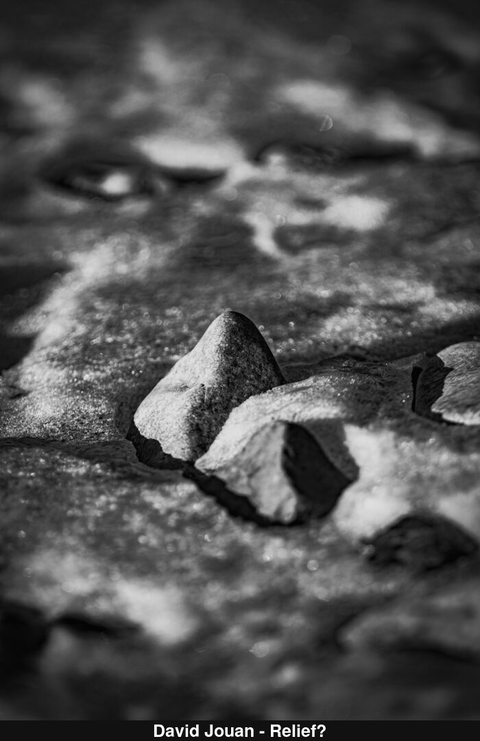 (C) Auteur de la photographie - Respectez le droit d'auteur