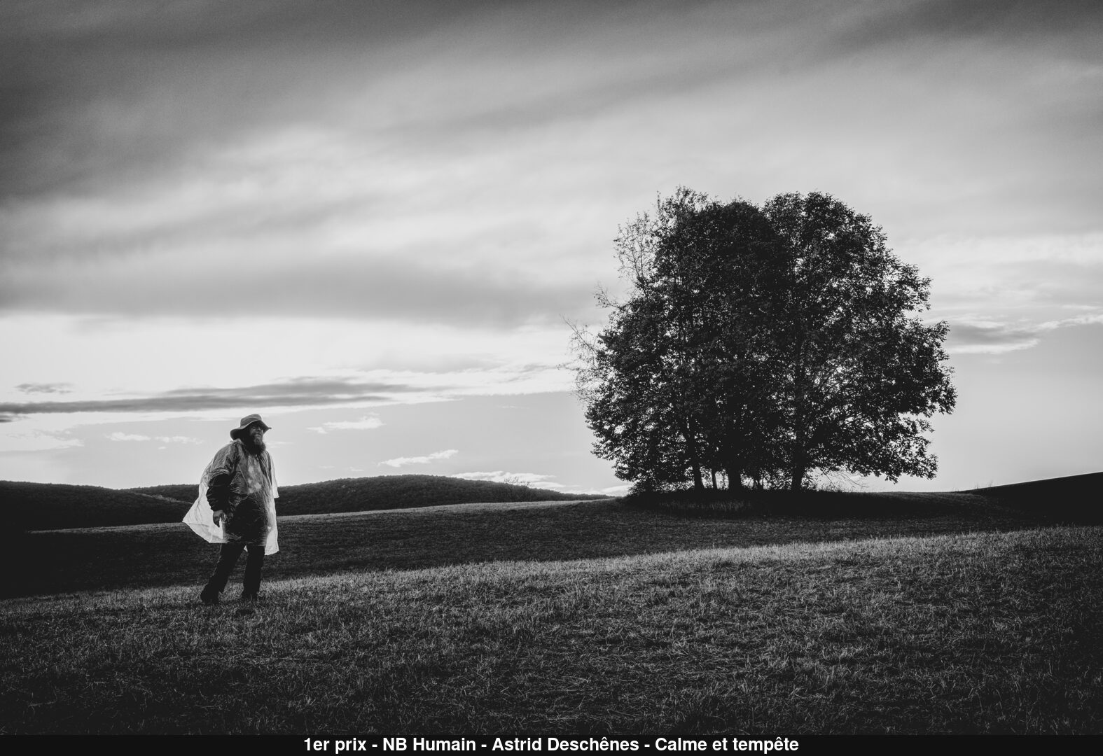 (C) Auteur de la photographie - Respectez le droit d'auteur