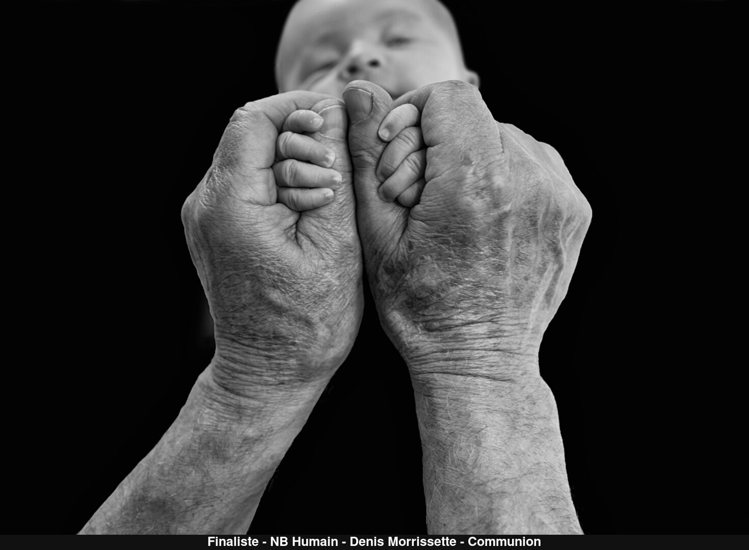 (C) Auteur de la photographie - Respectez le droit d'auteur