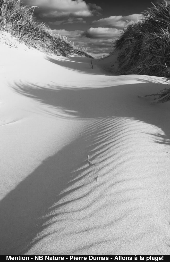 (C) Auteur de la photographie - Respectez le droit d'auteur