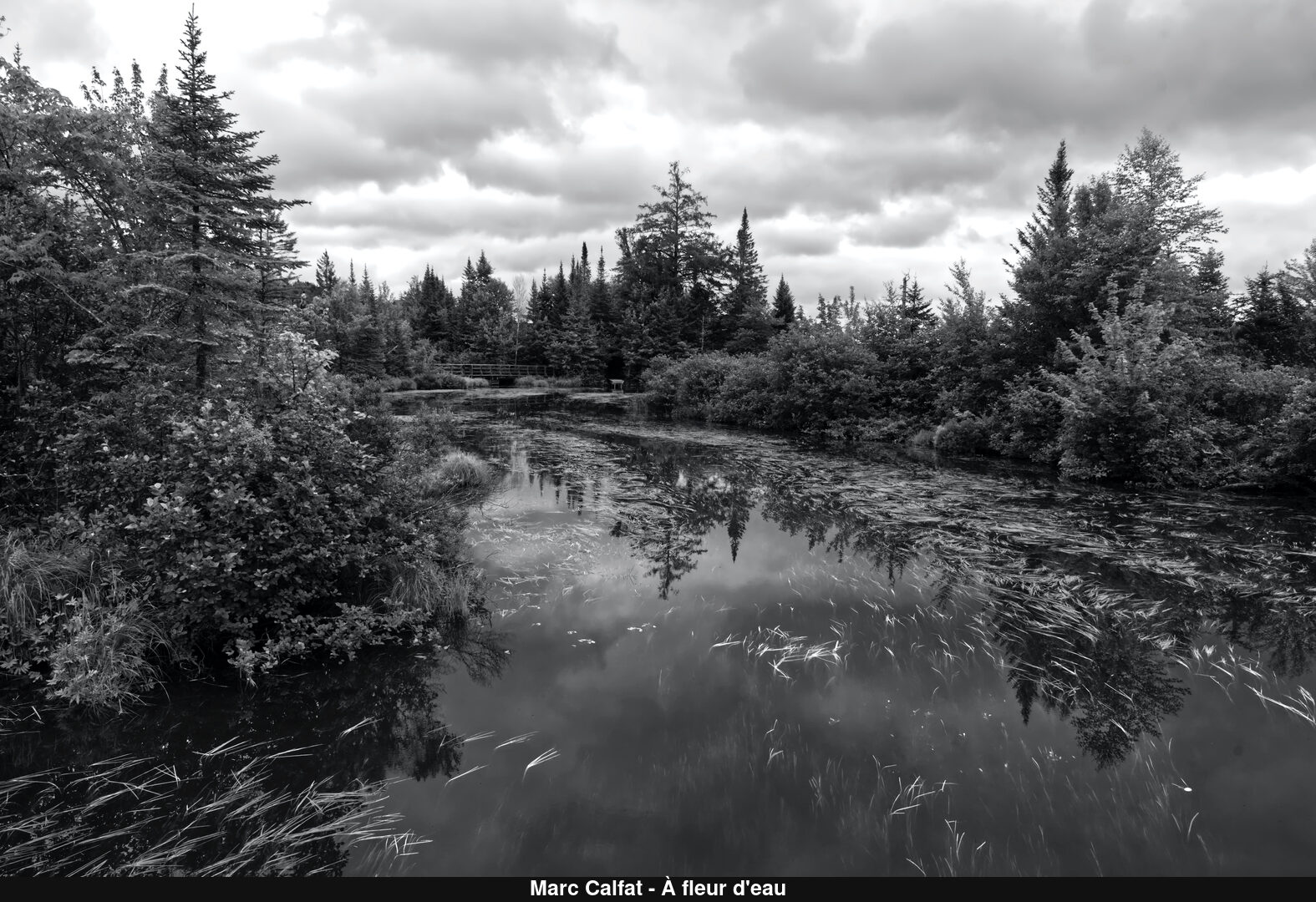 (C) Auteur de la photographie - Respectez le droit d'auteur