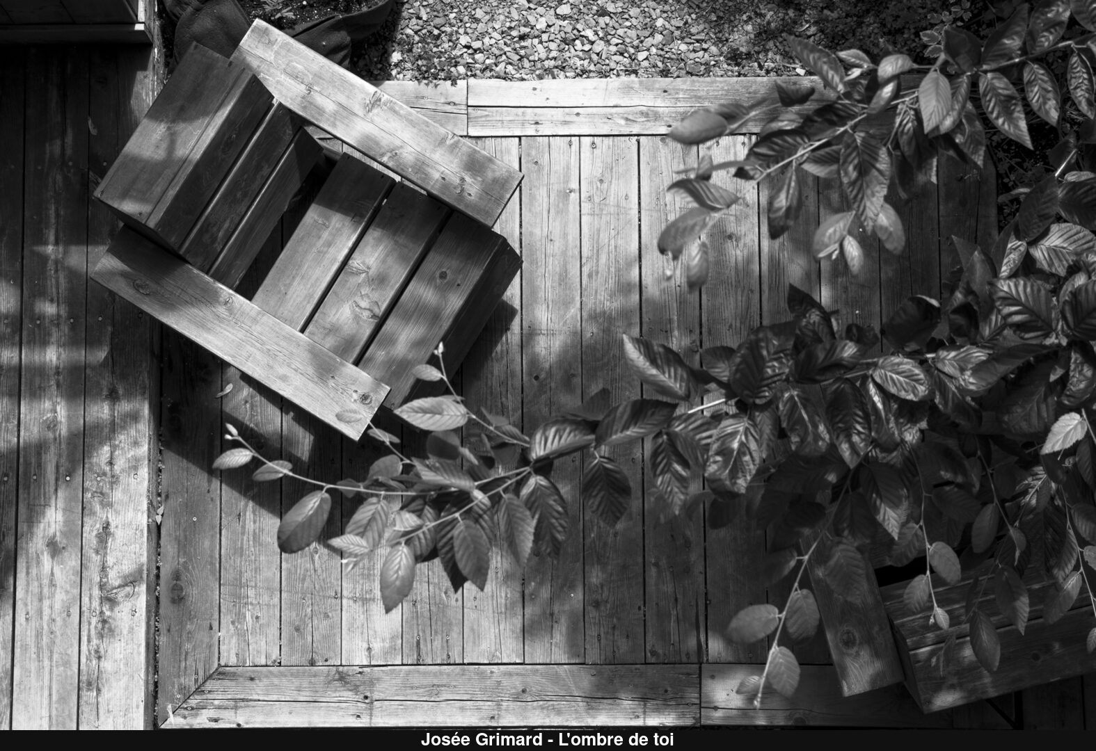 (C) Auteur de la photographie - Respectez le droit d'auteur