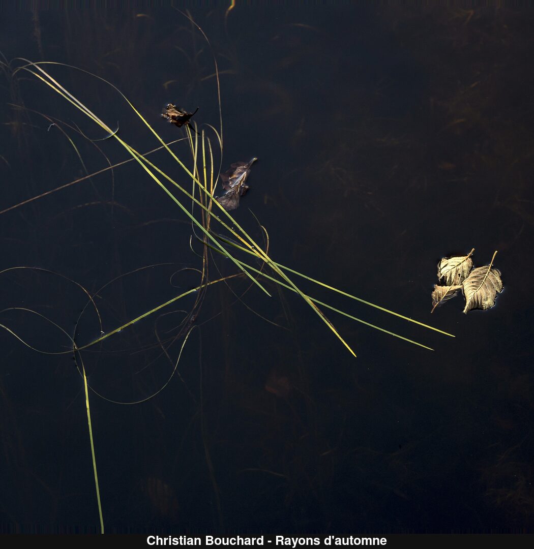 (C) Auteur de la photographie - Respectez le droit d'auteur
