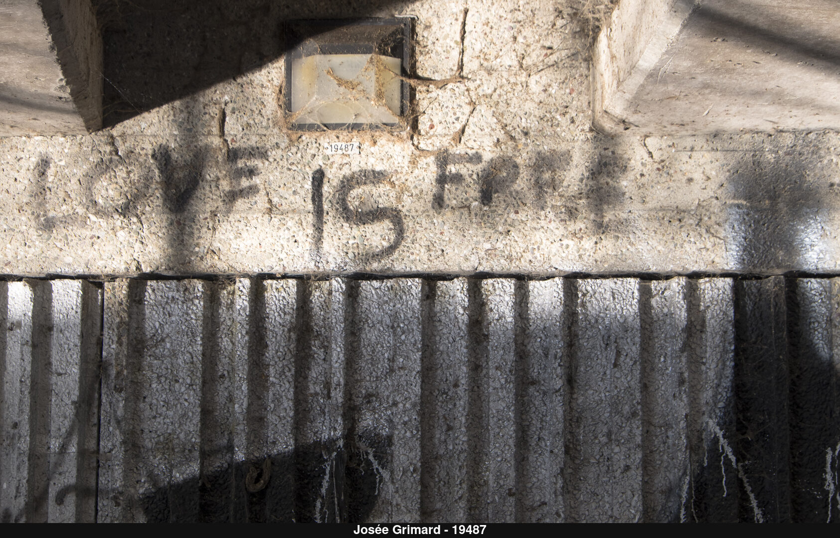 (C) Auteur de la photographie - Respectez le droit d'auteur