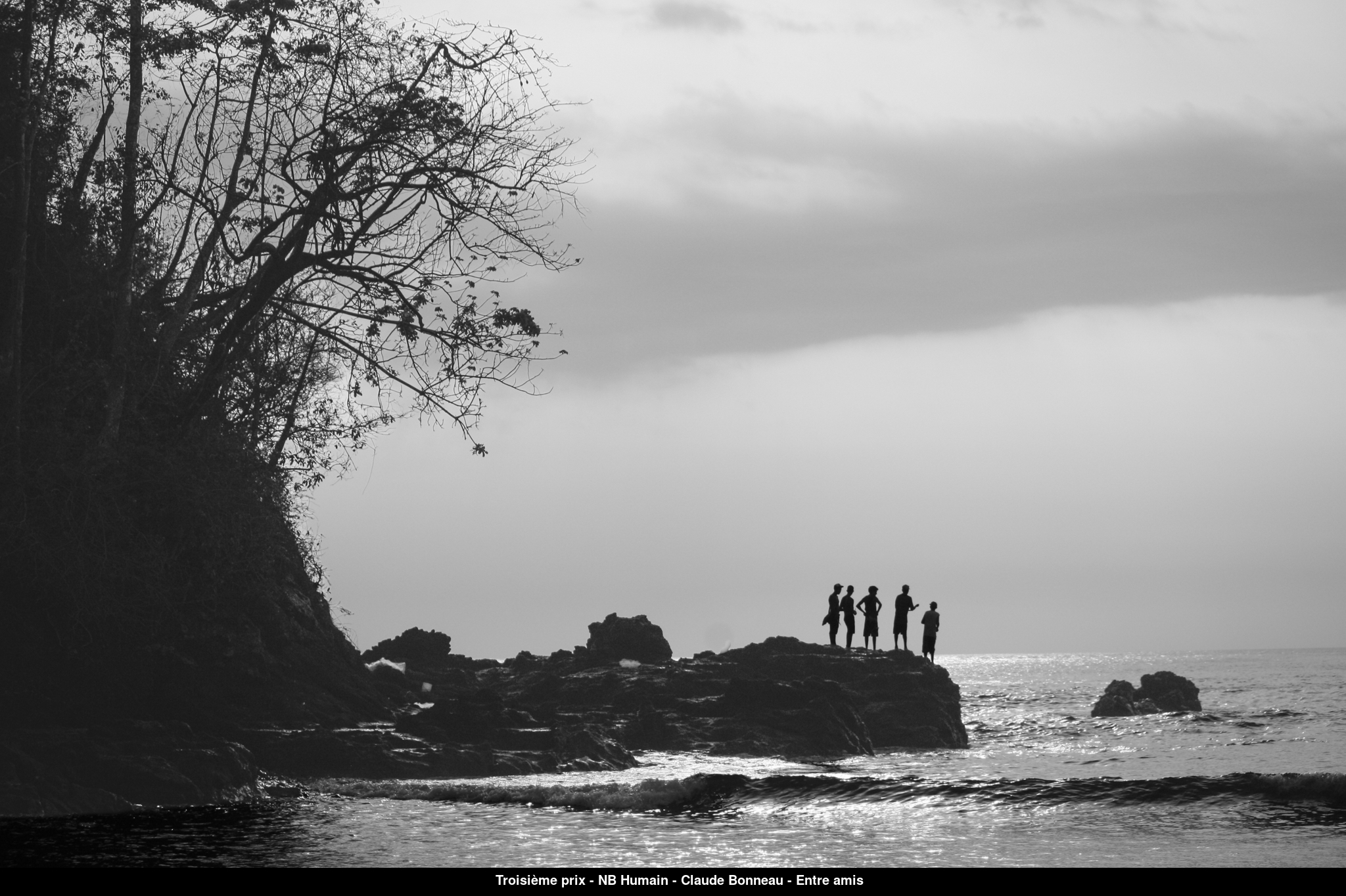 (C) Auteur de la photographie - Respectez le droit d'auteur