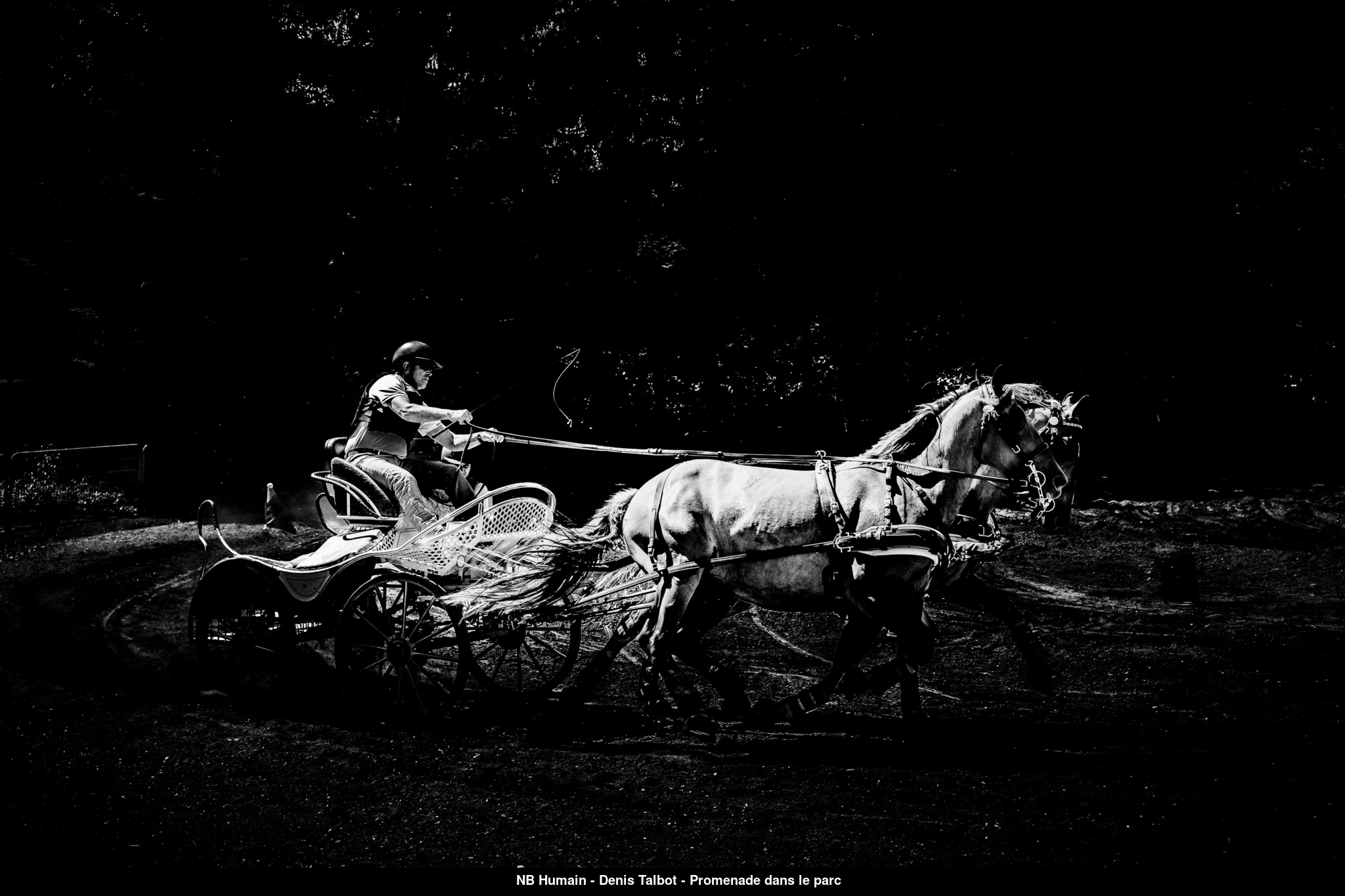 (C) Auteur de la photographie - Respectez le droit d'auteur