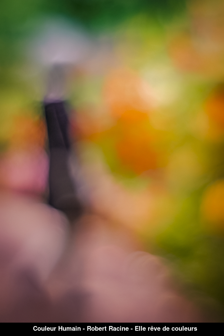 (C) Auteur de la photographie - Respectez le droit d'auteur
